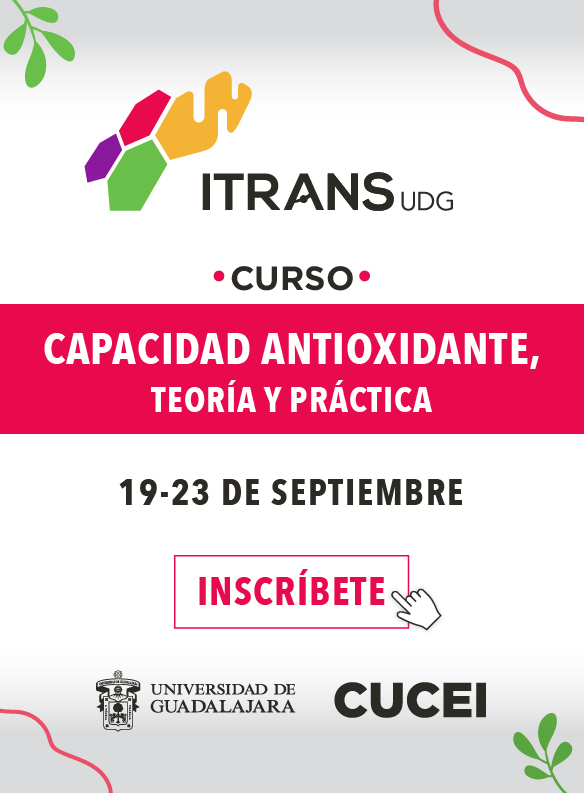 banners-itrans_280x380.jpg 