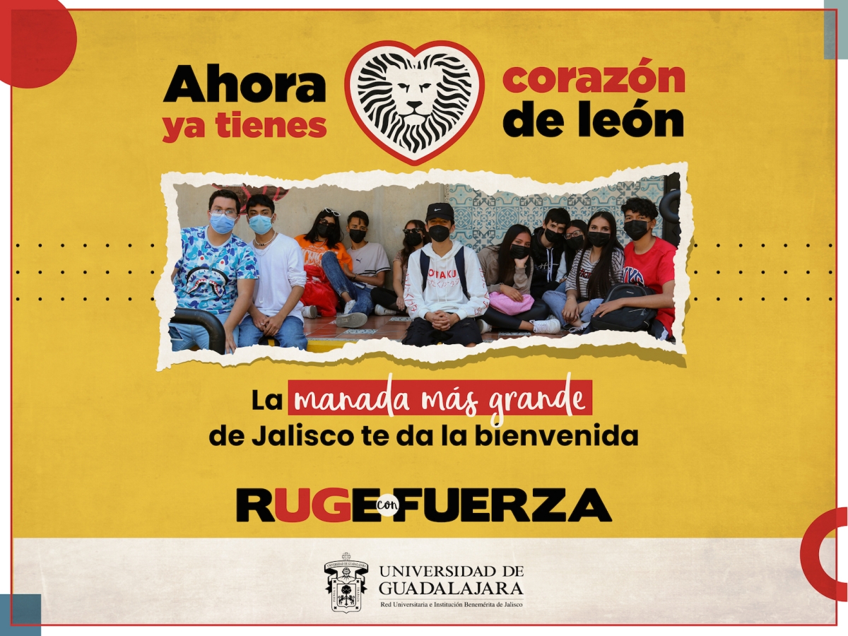 bienvenida-2022b_nvo-ingreso2.jpg 