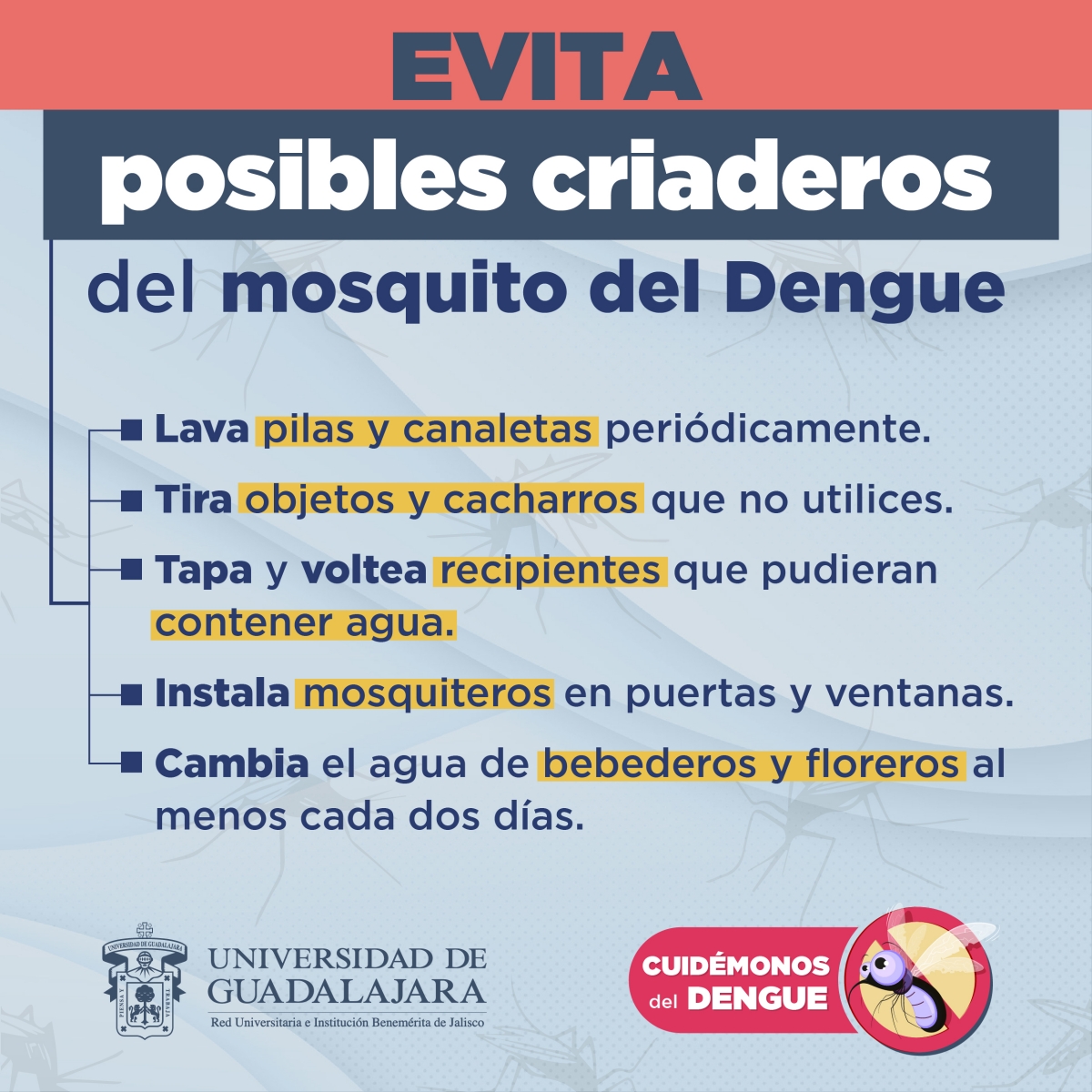 dengue2022-graficos_1.jpg 