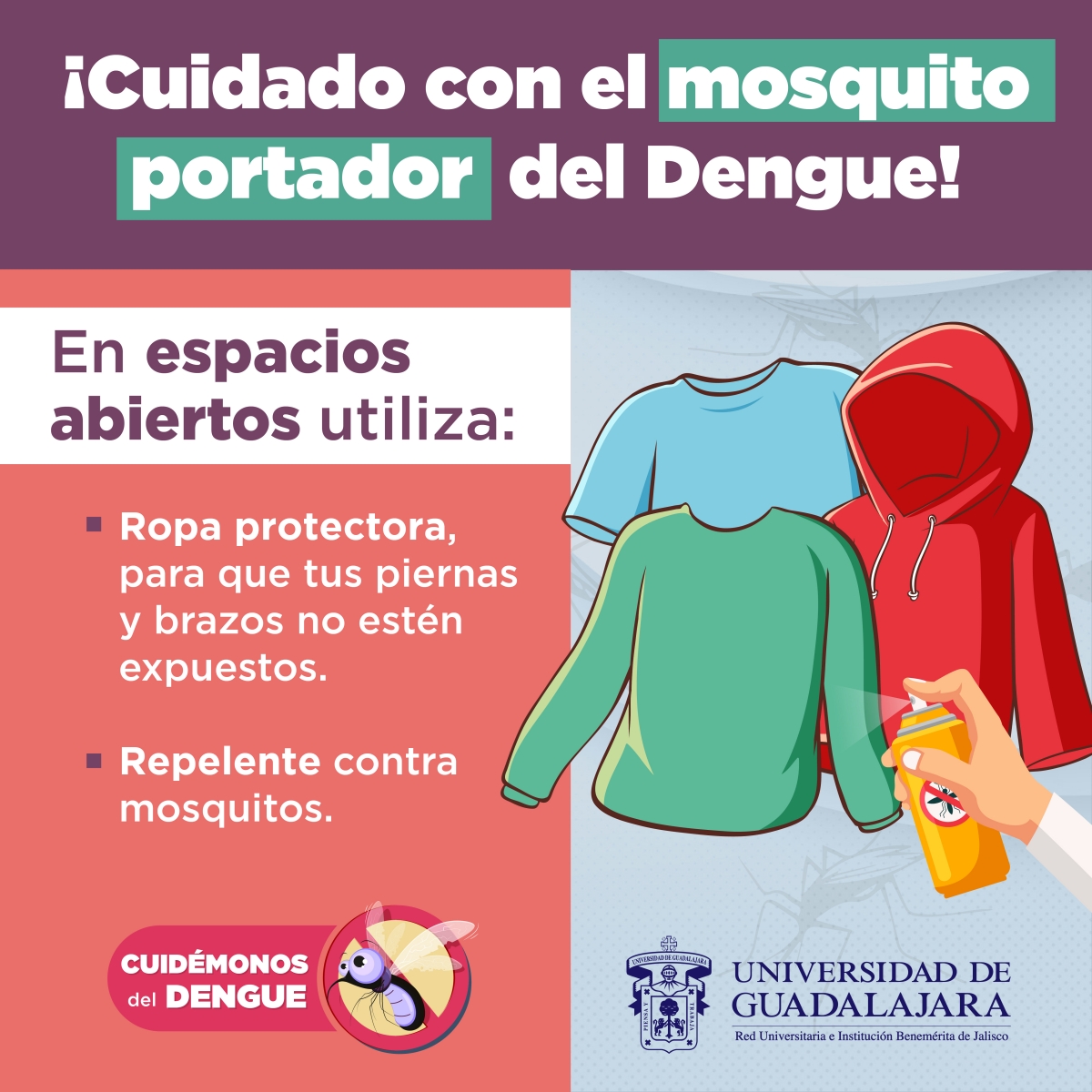 dengue2022-graficos_2.jpg 