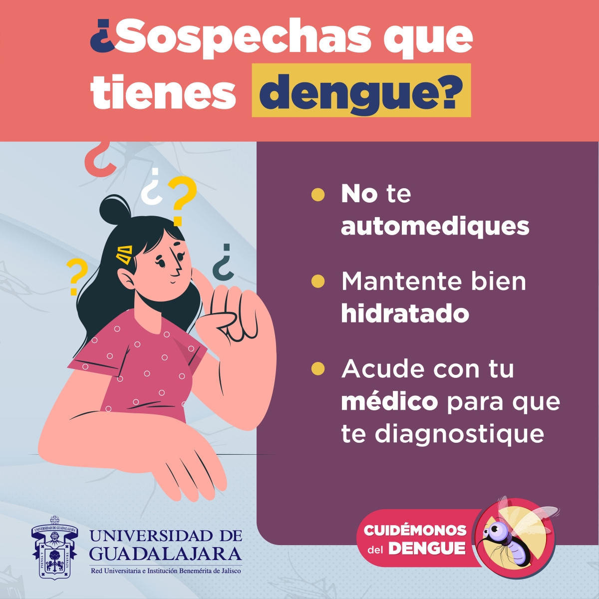 dengue2022-graficos_4.jpg 