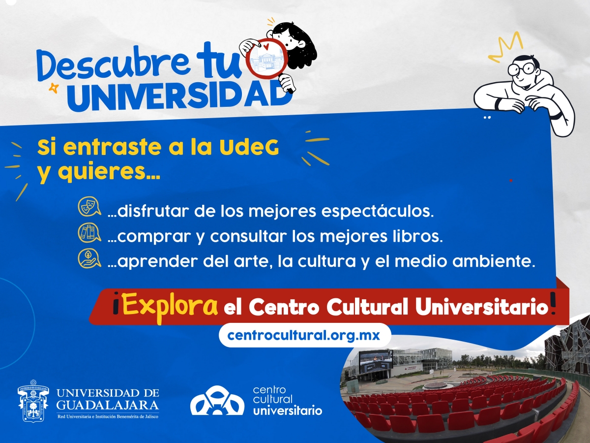 graficos-primer-ingreso_cultura-v1.jpg 