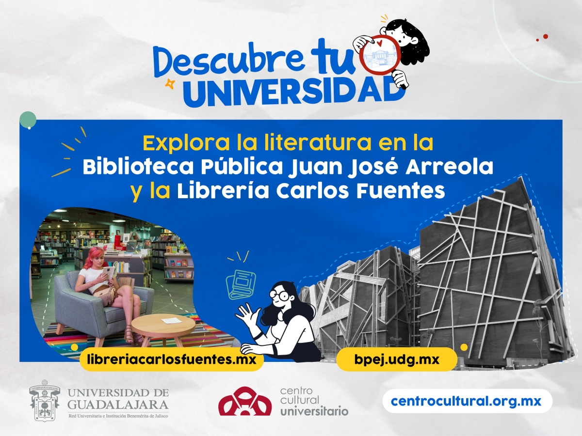 graficos-primer-ingreso_cultura-v3.jpg 