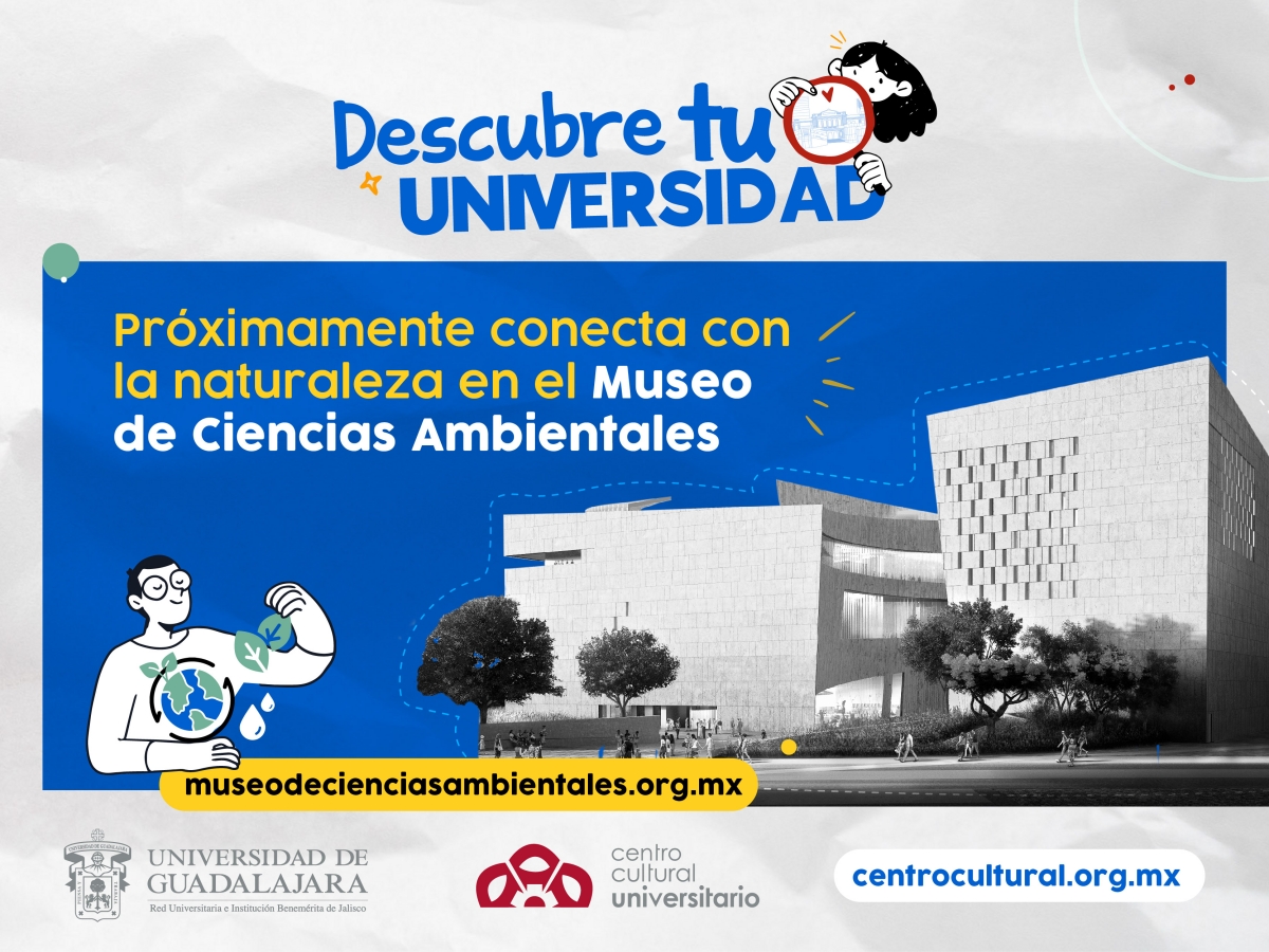 graficos-primer-ingreso_cultura-v6.jpg