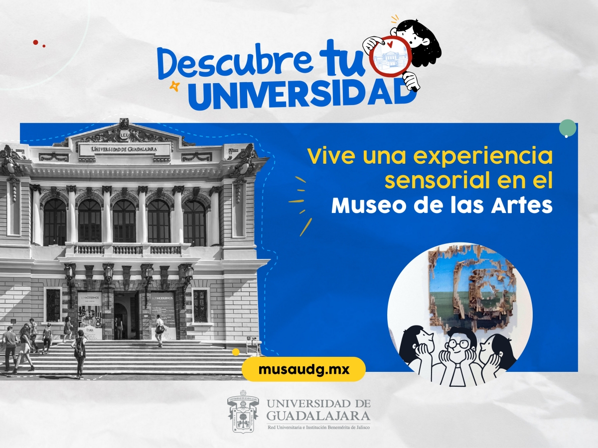 graficos-primer-ingreso_cultura-v7.jpg 