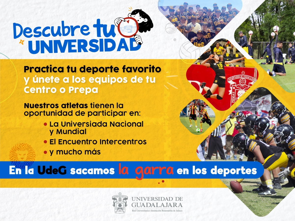 graficos-primer-ingreso_deporte.jpg 