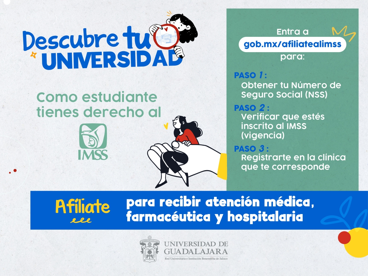graficos-primer-ingreso_salud-imss.jpg 