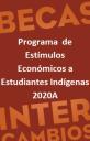 img_Estudiantes Indigenas 2020A