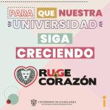 COMUNIDAD UDEG
